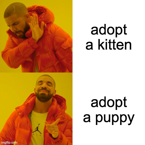 you know its true | adopt a kitten; adopt a puppy | image tagged in memes,drake hotline bling,dogs,puppy,kitten,adoption | made w/ Imgflip meme maker