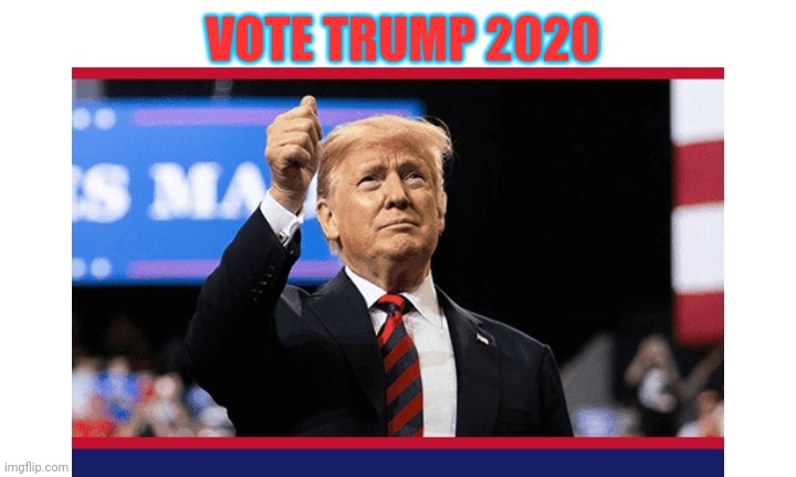 VOTE TRUMP 2020 | made w/ Imgflip meme maker