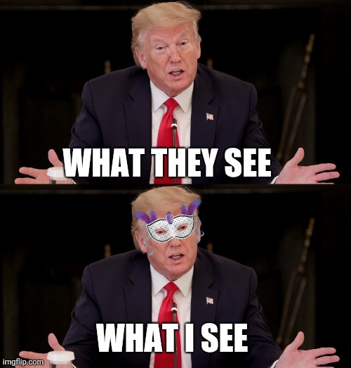 Captain Bronzer | WHAT THEY SEE; WHAT I SEE | image tagged in trump,solar power,covid19,usa | made w/ Imgflip meme maker
