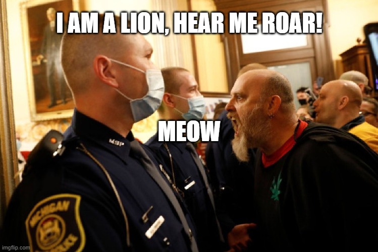 Big mouth stay at home protestor | I AM A LION, HEAR ME ROAR! MEOW | image tagged in lansingstatecapitol,michiganprotest,newright,bigmouth | made w/ Imgflip meme maker
