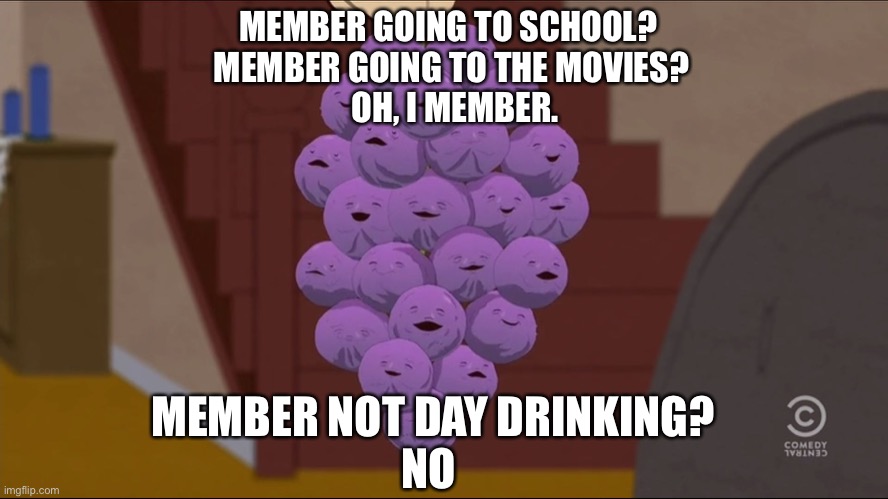 Member Berries Meme | MEMBER GOING TO SCHOOL?  
MEMBER GOING TO THE MOVIES? 
OH, I MEMBER. MEMBER NOT DAY DRINKING?
NO | image tagged in memes,member berries | made w/ Imgflip meme maker