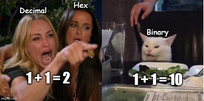 1 + 1 = 10 | Hex; Decimal; Binary; 1 + 1 = 2; 1 + 1 = 10 | image tagged in cat and women,math,maths,science,programming,mathematics | made w/ Imgflip meme maker