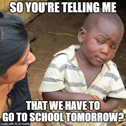 Third World Skeptical Kid Meme | SO YOU'RE TELLING ME; THAT WE HAVE TO GO TO SCHOOL TOMORROW? | image tagged in memes,third world skeptical kid | made w/ Imgflip meme maker