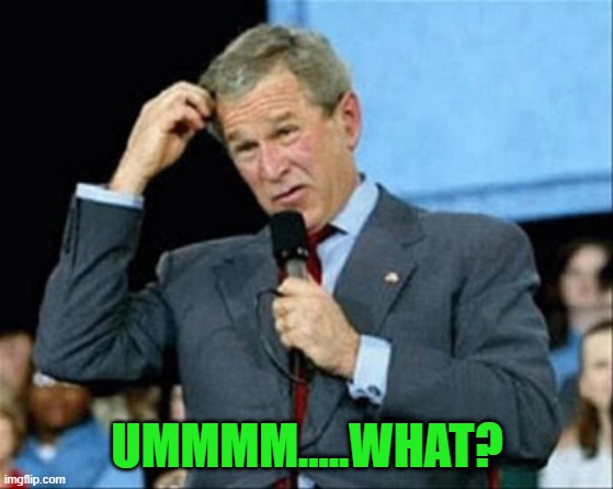 whut? | UMMMM.....WHAT? | image tagged in whut | made w/ Imgflip meme maker