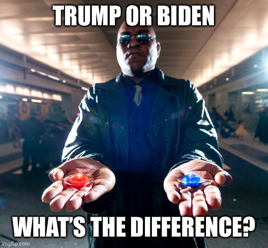 Trump or Biden? | TRUMP OR BIDEN; WHAT’S THE DIFFERENCE? | image tagged in election 2020,trump,biden,joe biden,creepy joe biden,donald trump the clown | made w/ Imgflip meme maker
