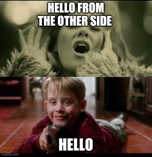 HELLO FROM THE OTHER SIDE; HELLO | image tagged in adele hello | made w/ Imgflip meme maker
