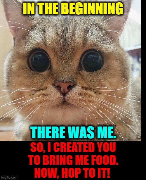 "Everything in Life is About Me." —Your Cat | IN THE BEGINNING; THERE WAS ME. SO, I CREATED YOU TO BRING ME FOOD.    NOW, HOP TO IT! | image tagged in vince vance,cats,kittens,feed me,funny cat memes,cat memes | made w/ Imgflip meme maker