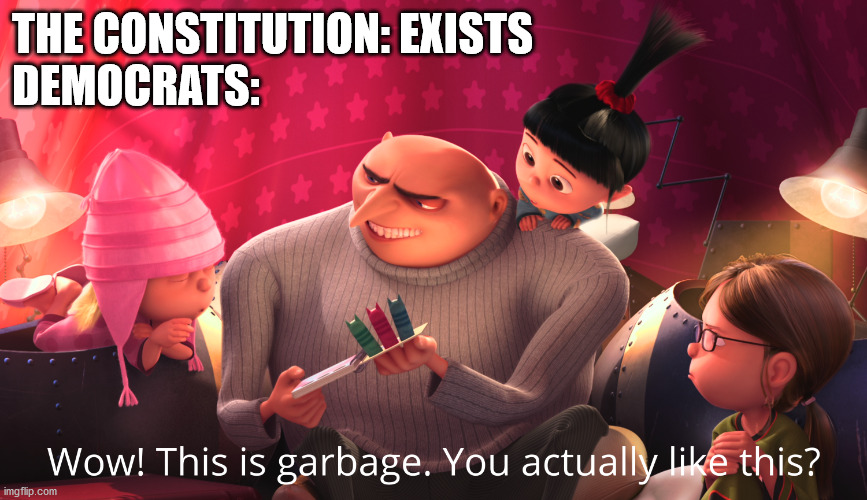 The Constitution isn't garbage. | THE CONSTITUTION: EXISTS
DEMOCRATS: | image tagged in wow this is garbage you actually like this | made w/ Imgflip meme maker