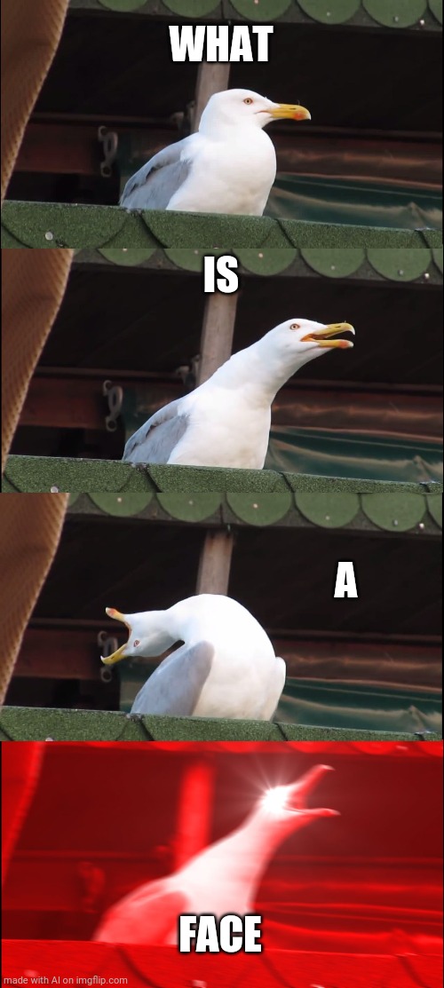 Inhaling Seagull | WHAT; IS; A; FACE | image tagged in memes,inhaling seagull | made w/ Imgflip meme maker