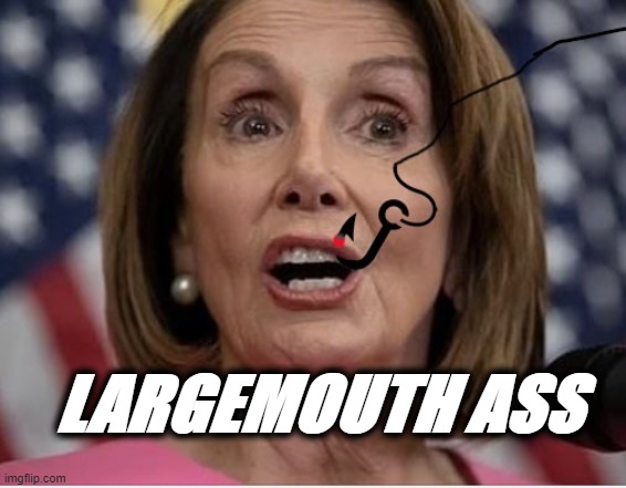 Largemouth Ass | LARGEMOUTH ASS | image tagged in nancy pelosi | made w/ Imgflip meme maker