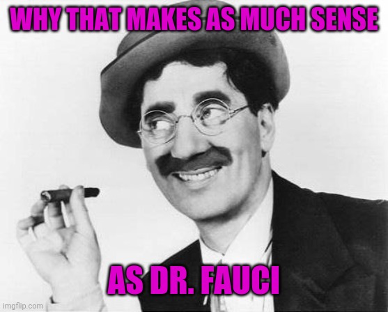Groucho Marx | WHY THAT MAKES AS MUCH SENSE AS DR. FAUCI | image tagged in groucho marx | made w/ Imgflip meme maker