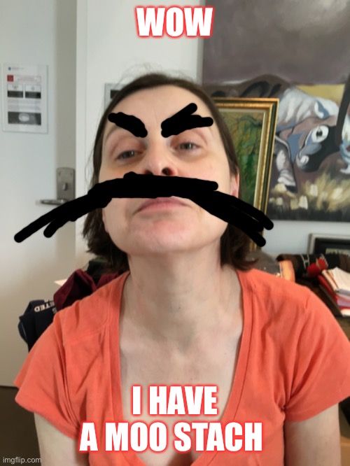 W stache | WOW; I HAVE A MOO STACH | image tagged in funny | made w/ Imgflip meme maker