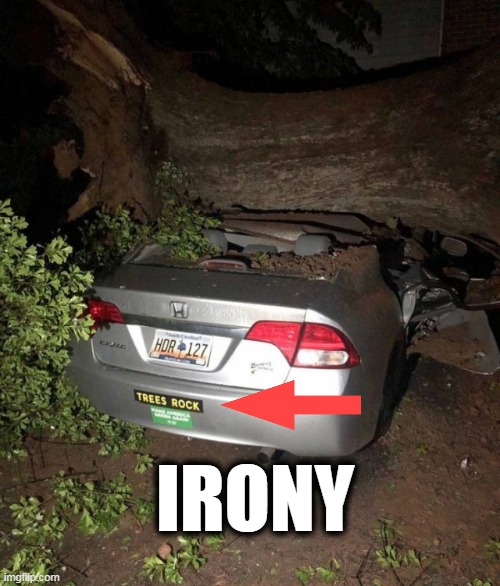 trees rock and sometimes crush too | IRONY | image tagged in irony,trees | made w/ Imgflip meme maker
