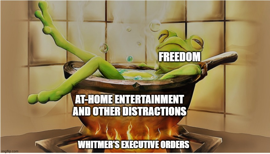Boiling frogs | FREEDOM; AT-HOME ENTERTAINMENT AND OTHER DISTRACTIONS; WHITMER'S EXECUTIVE ORDERS | image tagged in freedom,tyranny | made w/ Imgflip meme maker