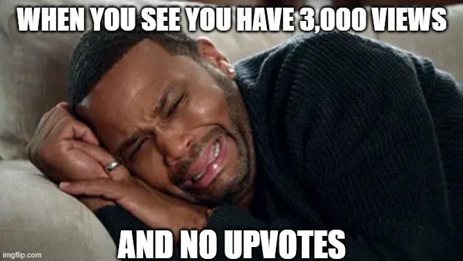 no one like my memes | WHEN YOU SEE YOU HAVE 3,000 VIEWS; AND NO UPVOTES | image tagged in memes | made w/ Imgflip meme maker