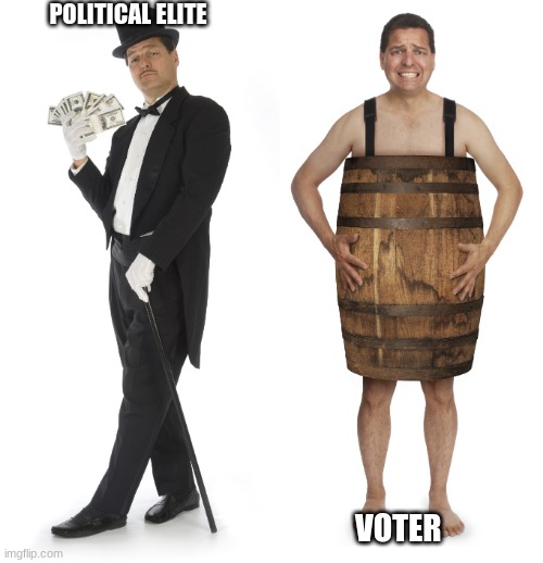 2020 so far | POLITICAL ELITE; VOTER | image tagged in rich vs poor,political elite,voter,congress sucks,2020 the year we fire them all,unemployment | made w/ Imgflip meme maker