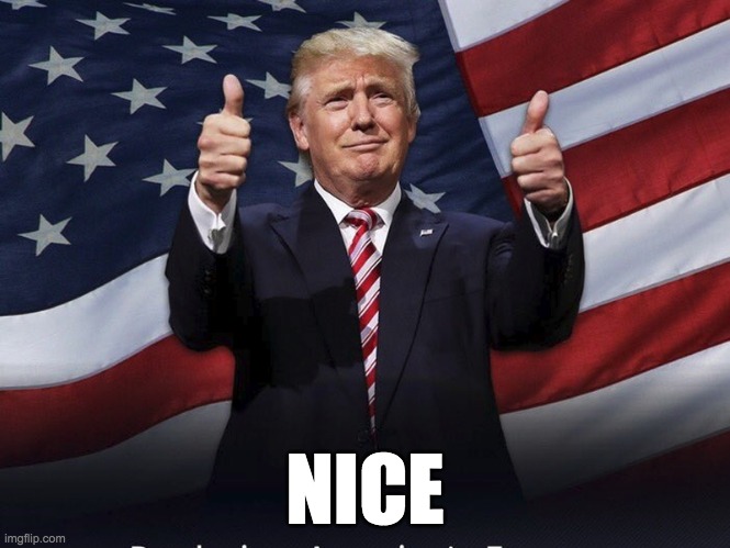 Donald Trump Thumbs Up | NICE | image tagged in donald trump thumbs up | made w/ Imgflip meme maker