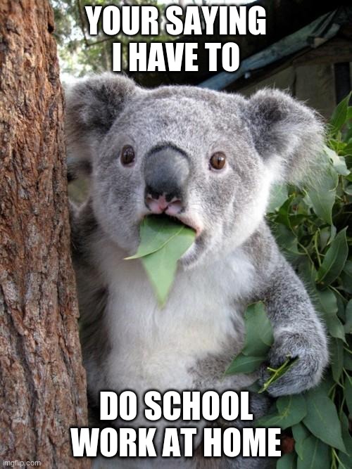 school work | YOUR SAYING I HAVE TO; DO SCHOOL WORK AT HOME | image tagged in memes,surprised koala | made w/ Imgflip meme maker