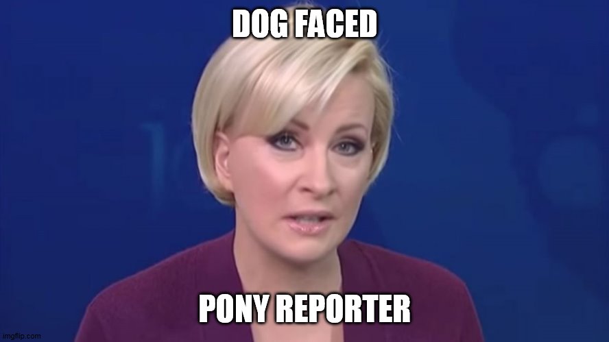 dog faced pony reporter | DOG FACED; PONY REPORTER | image tagged in mika brzezinski | made w/ Imgflip meme maker