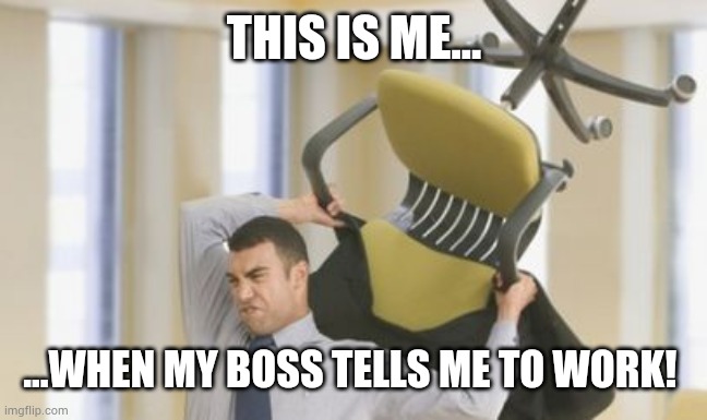throw chair | THIS IS ME... ...WHEN MY BOSS TELLS ME TO WORK! | image tagged in throw chair | made w/ Imgflip meme maker