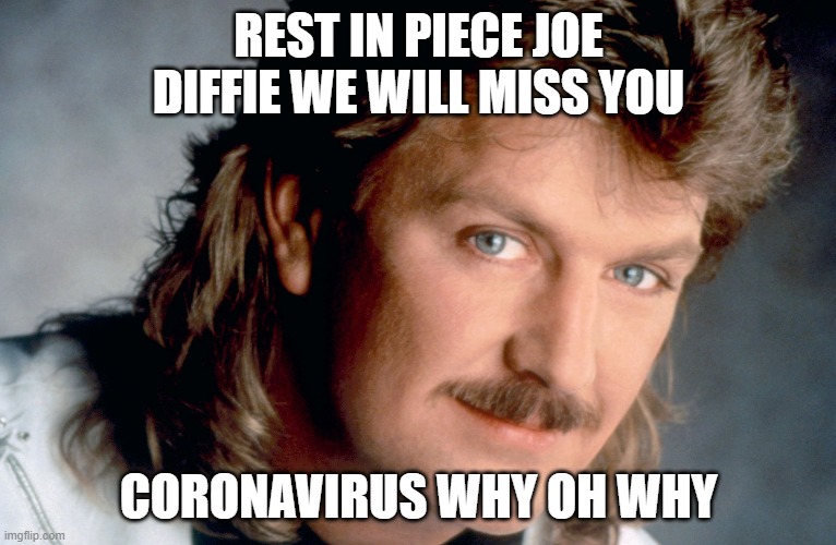 Joe Diffie | REST IN PIECE JOE DIFFIE WE WILL MISS YOU; CORONAVIRUS WHY OH WHY | image tagged in joe diffie | made w/ Imgflip meme maker