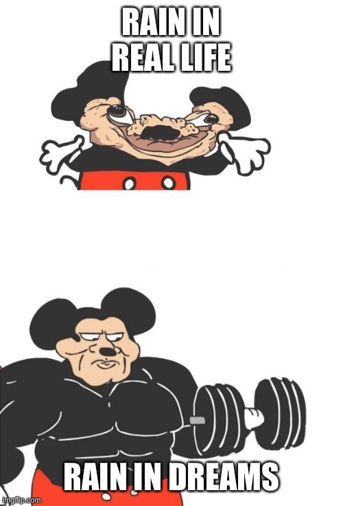 Piss gang | RAIN IN REAL LIFE; RAIN IN DREAMS | image tagged in buff mickey mouse | made w/ Imgflip meme maker