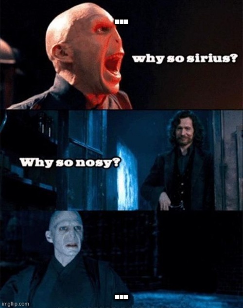 The best Harry Potter memes 