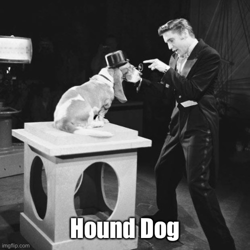 Hound Dog | made w/ Imgflip meme maker