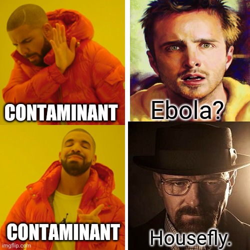 Wierd flex1 | Ebola? CONTAMINANT; CONTAMINANT; Housefly. | image tagged in breaking bad | made w/ Imgflip meme maker