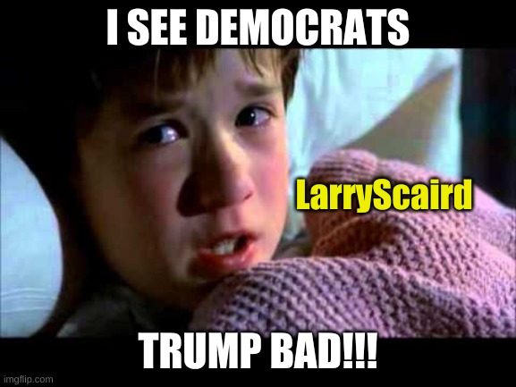 I see dead people | I SEE DEMOCRATS TRUMP BAD!!! LarryScaird | image tagged in i see dead people | made w/ Imgflip meme maker
