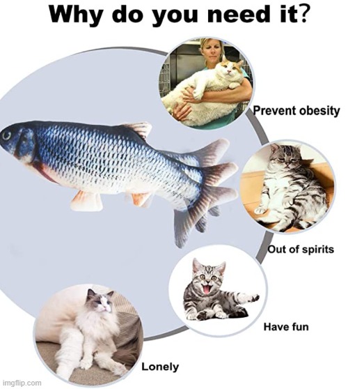 Why you need it | image tagged in why you need it,fish,cats,sad cats,funny cats,fat cats | made w/ Imgflip meme maker