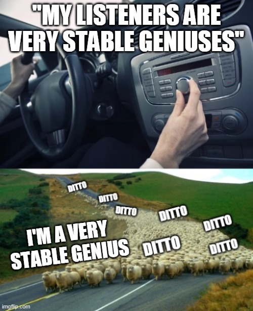 The radio said I'm a very stable genius | "MY LISTENERS ARE VERY STABLE GENIUSES"; I'M A VERY STABLE GENIUS | image tagged in the radio said x x ditto | made w/ Imgflip meme maker