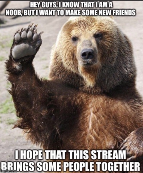 Hey guys... | image tagged in hello bear | made w/ Imgflip meme maker