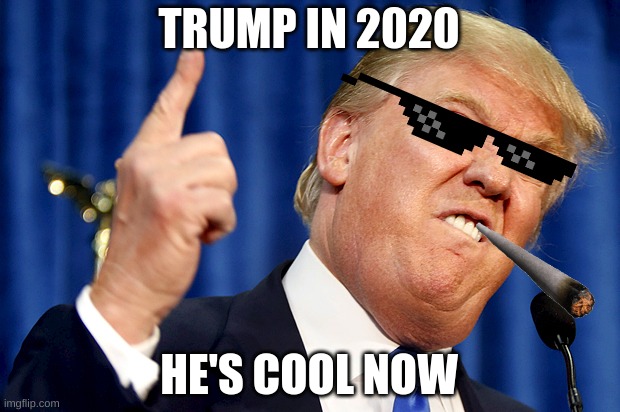 Donald Trump | TRUMP IN 2020; HE'S COOL NOW | image tagged in donald trump | made w/ Imgflip meme maker