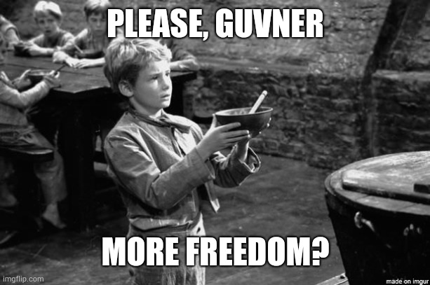 Freedom | PLEASE, GUVNER; MORE FREEDOM? | image tagged in freedom | made w/ Imgflip meme maker