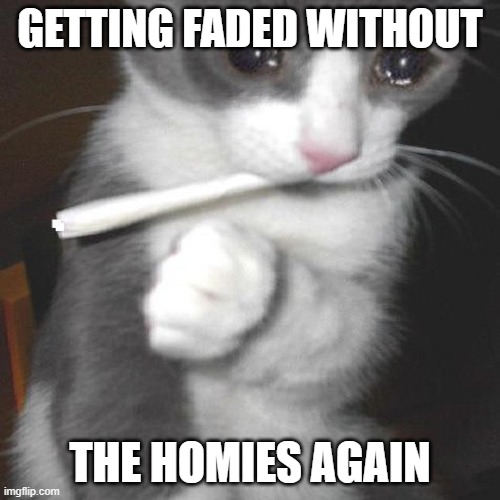 Quarantine be like that | GETTING FADED WITHOUT; THE HOMIES AGAIN | image tagged in missing,cat,sad,homies | made w/ Imgflip meme maker