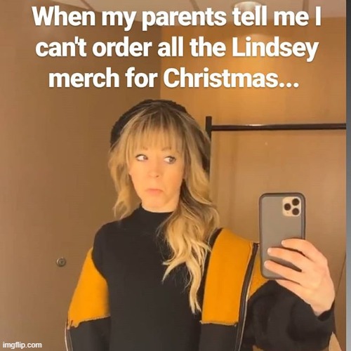I'm BACK! More Stirlingite/techie memes coming soon! | image tagged in lindsey stirling,christmas | made w/ Imgflip meme maker