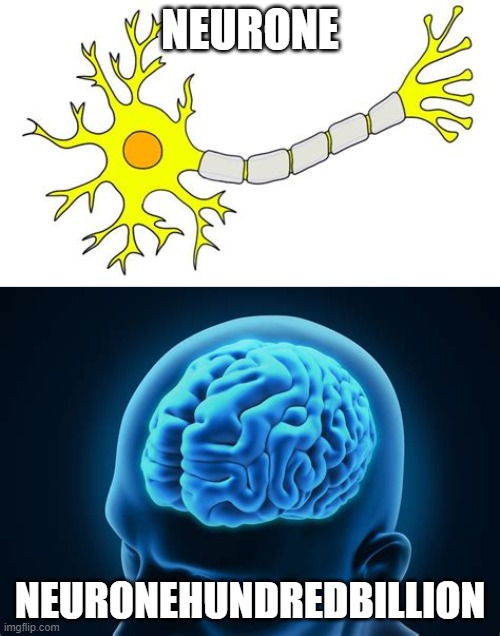 Neurone? I think not | NEURONE; NEURONEHUNDREDBILLION | image tagged in funny,puns,bad pun | made w/ Imgflip meme maker