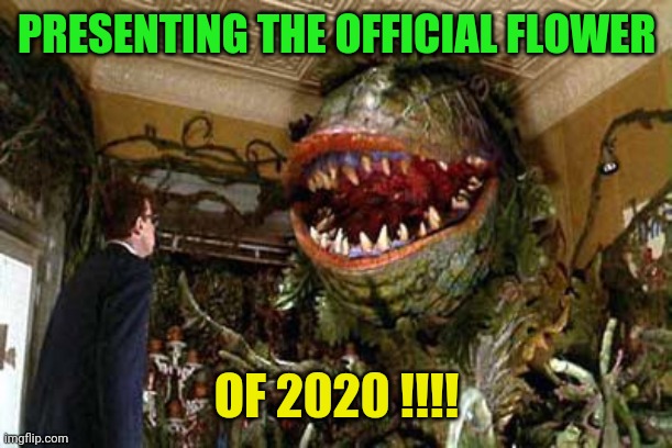 2020 flower | PRESENTING THE OFFICIAL FLOWER; OF 2020 !!!! | image tagged in little shop of horrors,2020,coronavirus,pandemic | made w/ Imgflip meme maker