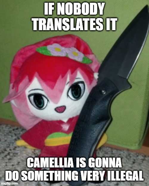 Knife Camellia | IF NOBODY TRANSLATES IT CAMELLIA IS GONNA DO SOMETHING VERY ILLEGAL | image tagged in knife camellia | made w/ Imgflip meme maker