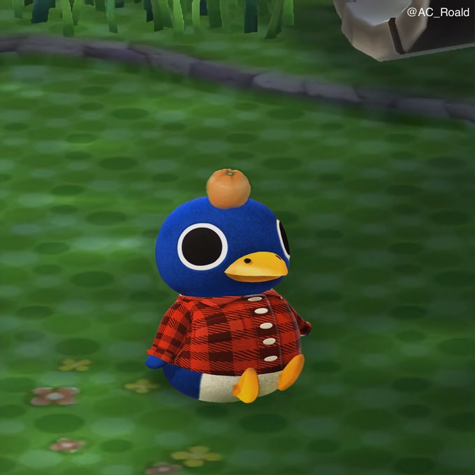 Roald From Animal Crossing Blank Meme Template