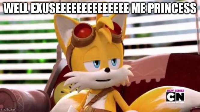 Scumbag Tails | WELL EXUSEEEEEEEEEEEEEE ME PRINCESS | image tagged in scumbag tails | made w/ Imgflip meme maker