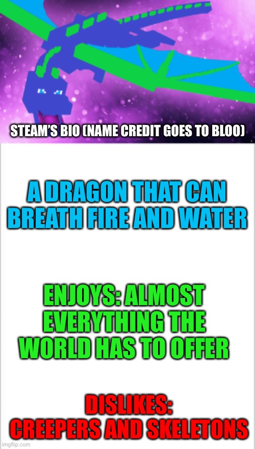 Name credit goes to Bloo | STEAM’S BIO (NAME CREDIT GOES TO BLOO); A DRAGON THAT CAN BREATH FIRE AND WATER; ENJOYS: ALMOST EVERYTHING THE WORLD HAS TO OFFER; DISLIKES: CREEPERS AND SKELETONS | image tagged in white background | made w/ Imgflip meme maker