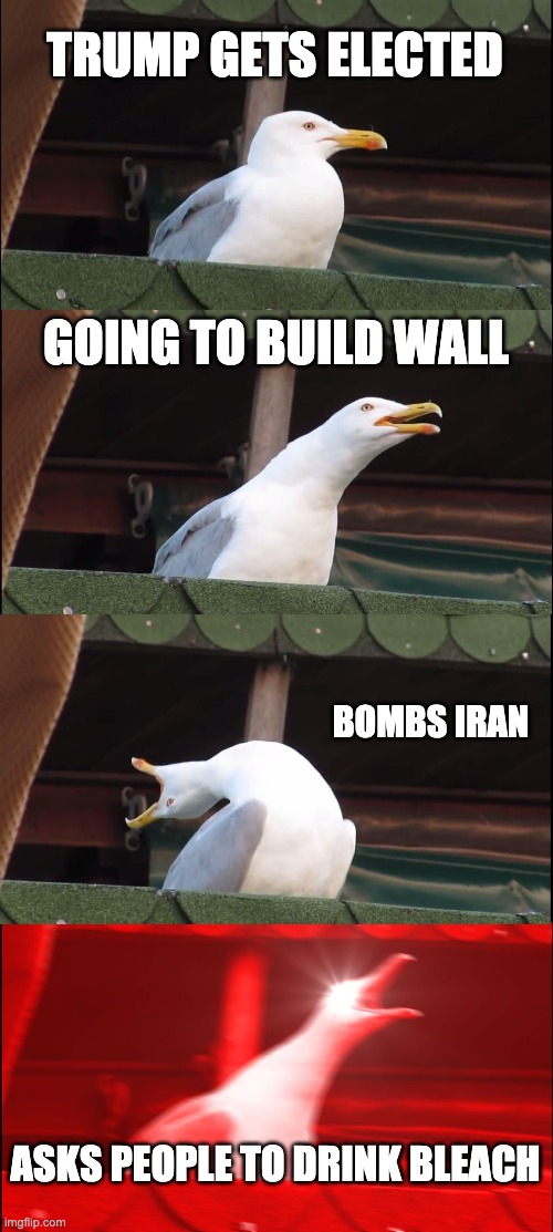 Inhaling Seagull | TRUMP GETS ELECTED; GOING TO BUILD WALL; BOMBS IRAN; ASKS PEOPLE TO DRINK BLEACH | image tagged in memes,inhaling seagull | made w/ Imgflip meme maker
