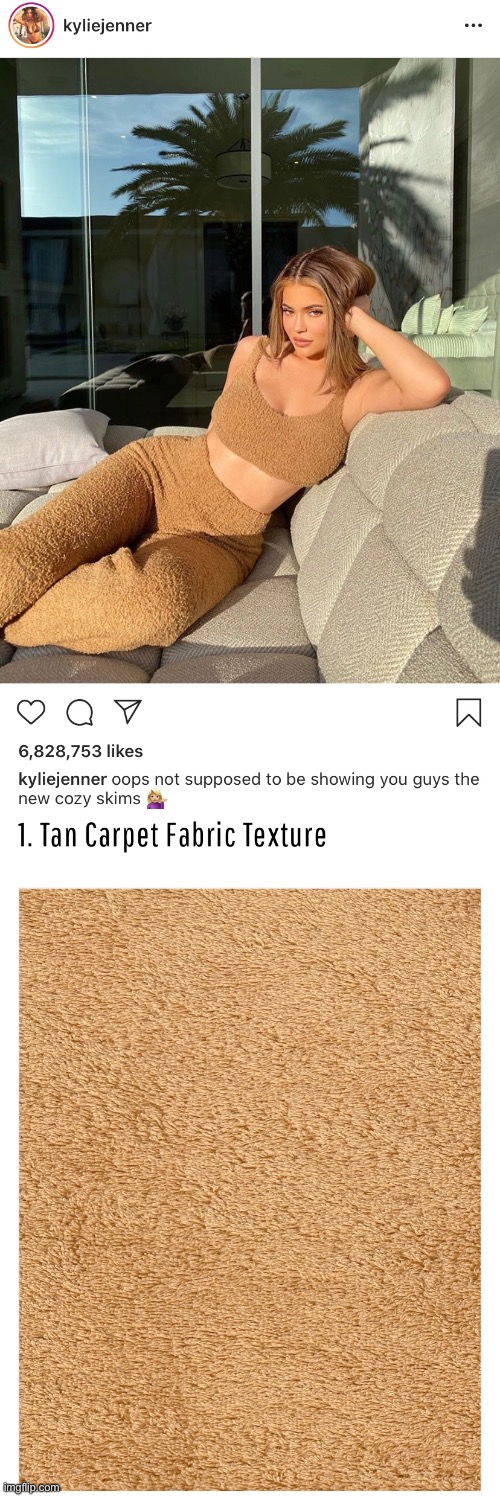 Steal that look | image tagged in kylie jenner,memes,funny,carpet,steal that look | made w/ Imgflip meme maker