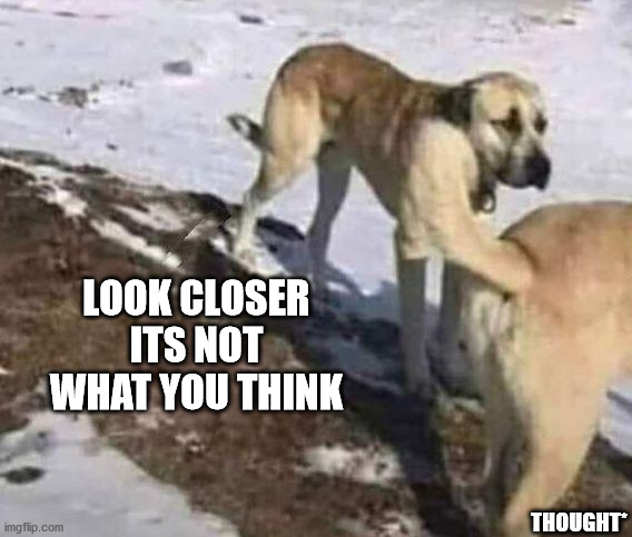 Thank God its an illusion | LOOK CLOSER ITS NOT WHAT YOU THINK; THOUGHT* | image tagged in memes,fun,funny,illusions,trick,dogs | made w/ Imgflip meme maker
