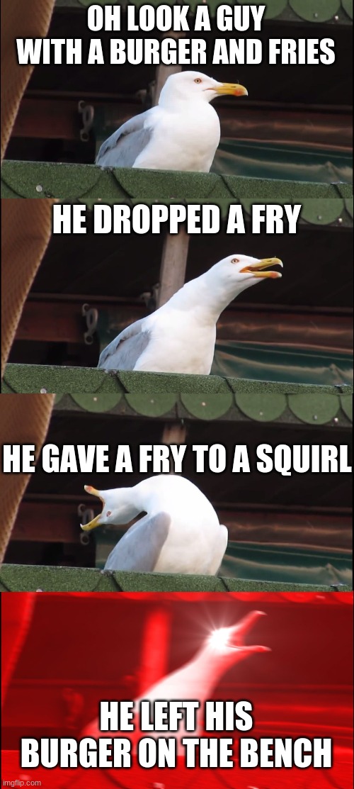 the burger | OH LOOK A GUY WITH A BURGER AND FRIES; HE DROPPED A FRY; HE GAVE A FRY TO A SQUIRL; HE LEFT HIS BURGER ON THE BENCH | image tagged in memes,inhaling seagull | made w/ Imgflip meme maker