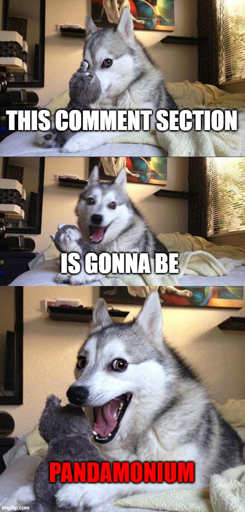Bad Pun Dog Meme | THIS COMMENT SECTION IS GONNA BE PANDAMONIUM | image tagged in memes,bad pun dog | made w/ Imgflip meme maker