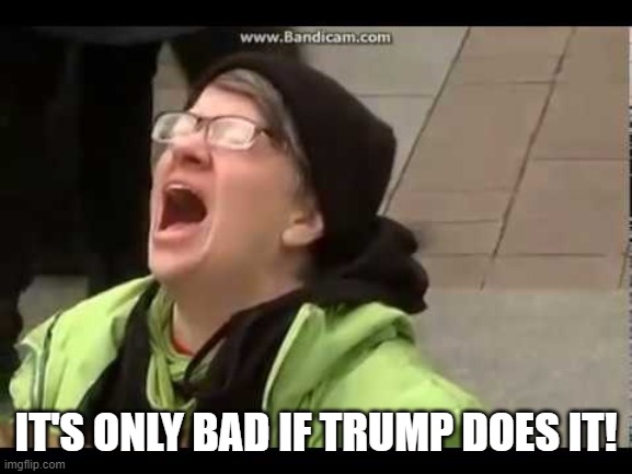 REEEEEEEEEEEEEEEEEEEE | IT'S ONLY BAD IF TRUMP DOES IT! | image tagged in reeeeeeeeeeeeeeeeeeee | made w/ Imgflip meme maker