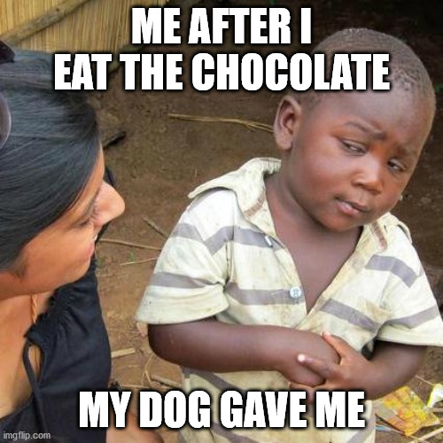 Third World Skeptical Kid Meme | ME AFTER I EAT THE CHOCOLATE; MY DOG GAVE ME | image tagged in memes,third world skeptical kid | made w/ Imgflip meme maker